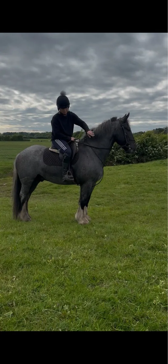 **Cob x Draught** - Image 2