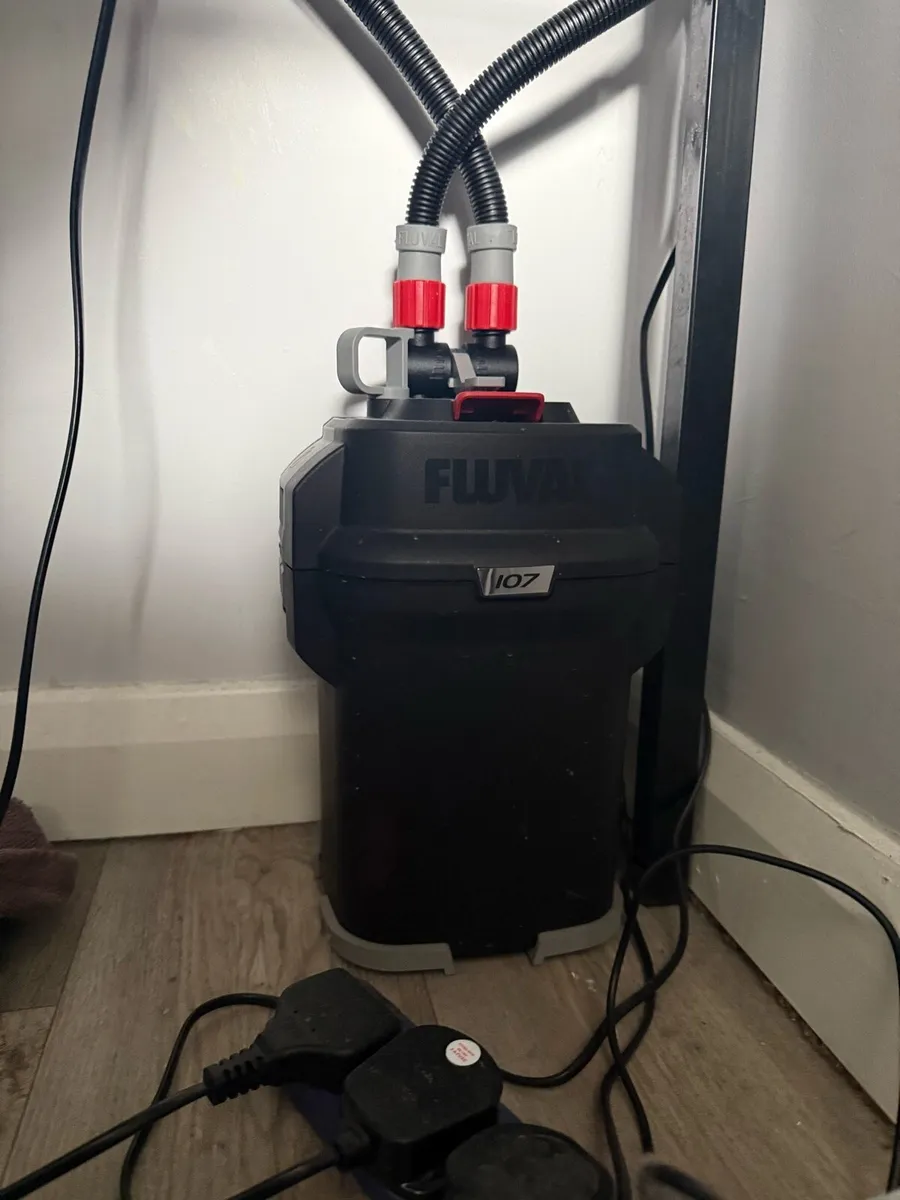 100L Fish Tank with accessories - Image 2