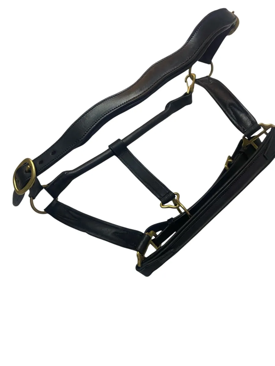 Leather headcollar