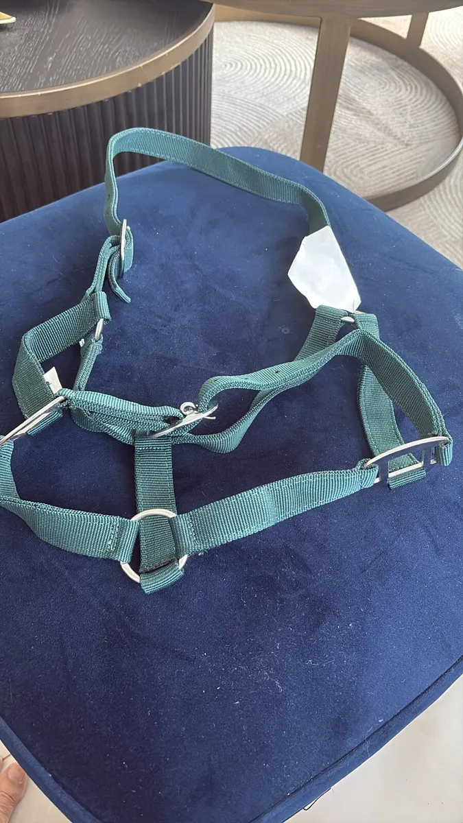 Nylon head collar - Image 1