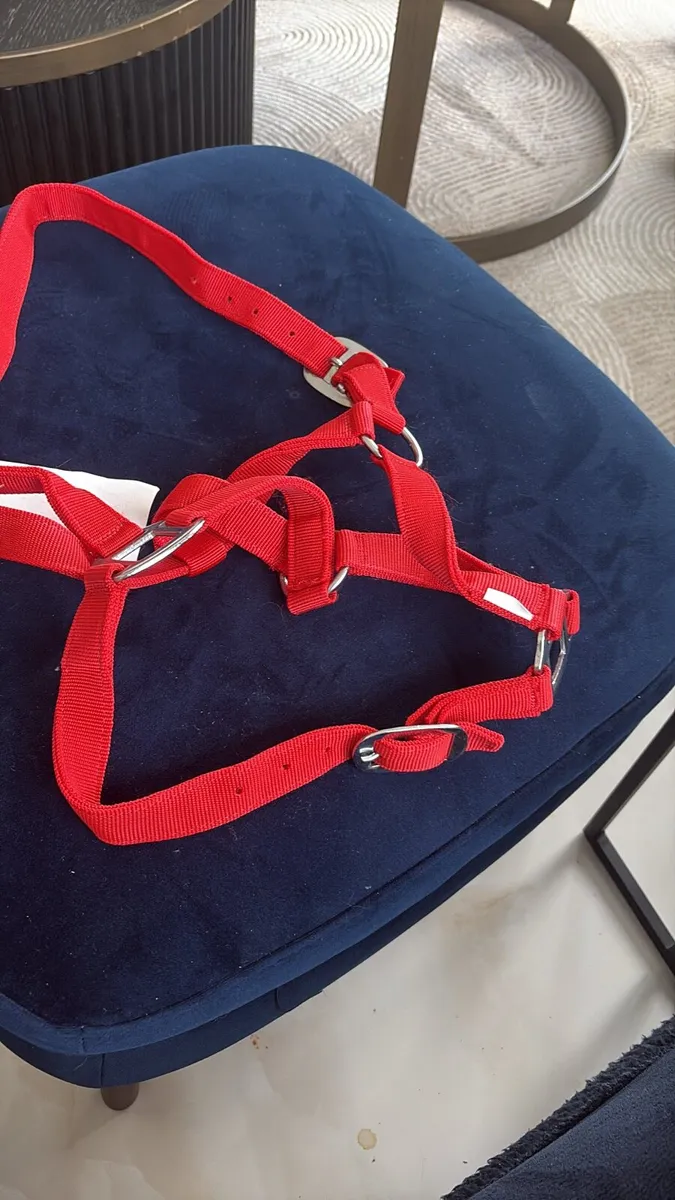 Nylon head collar - Image 2