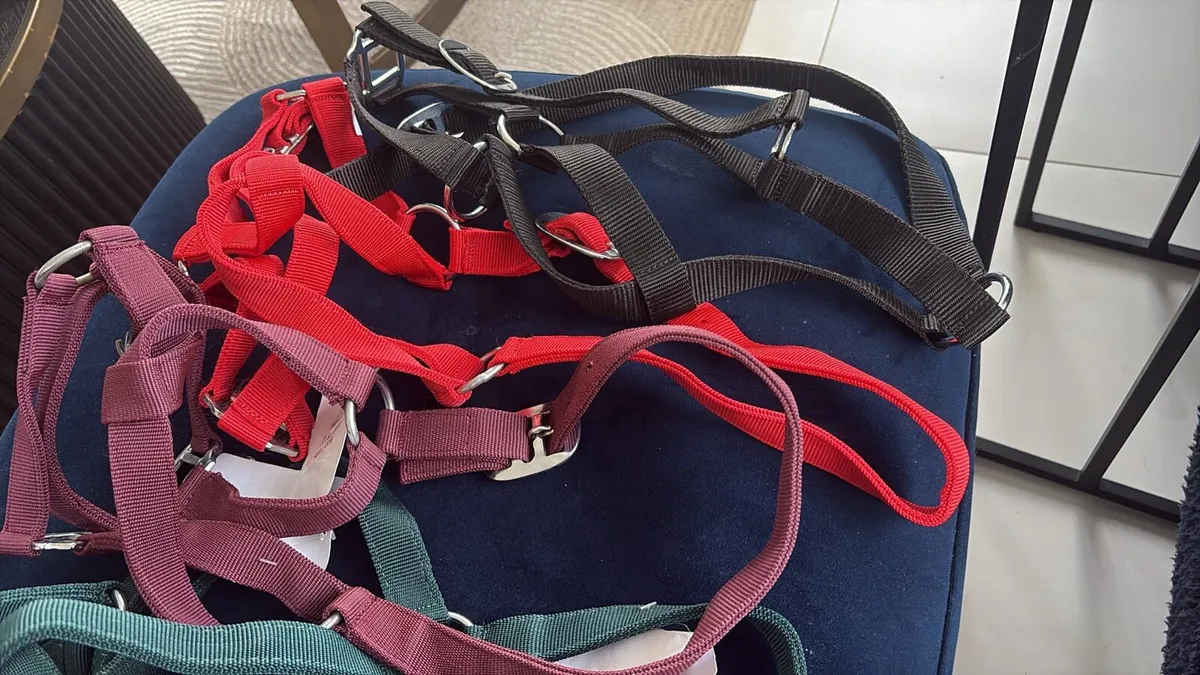 Nylon head collar - Image 3