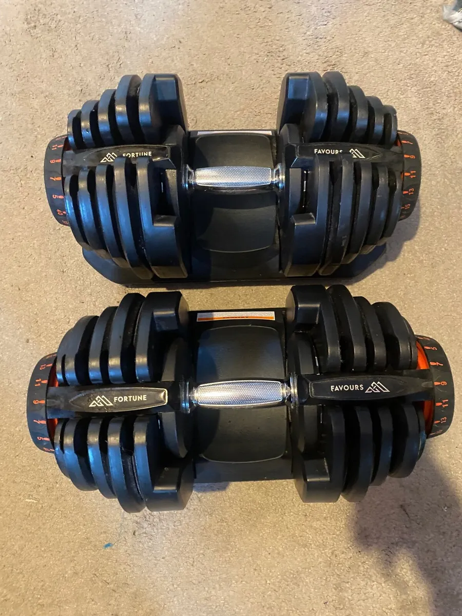 Fortune Favours Adjustable Dumbbells — 2 x 40kg (8 - Image 1