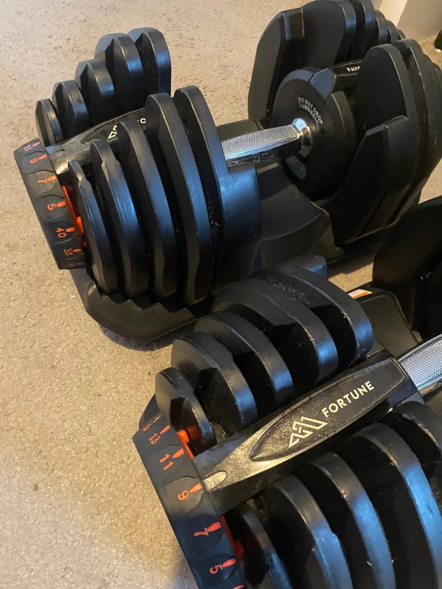 Fortune Favours Adjustable Dumbbells — 2 x 40kg (8 - Image 3