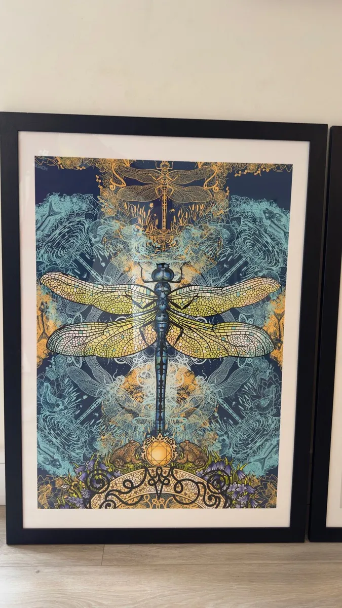 Pair of Framed Entomological Art Prints - Image 2