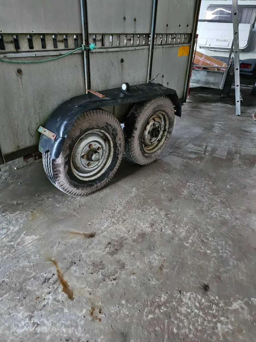 Ifor Williams 10 x 6. Cattle  /Horse box - Image 1