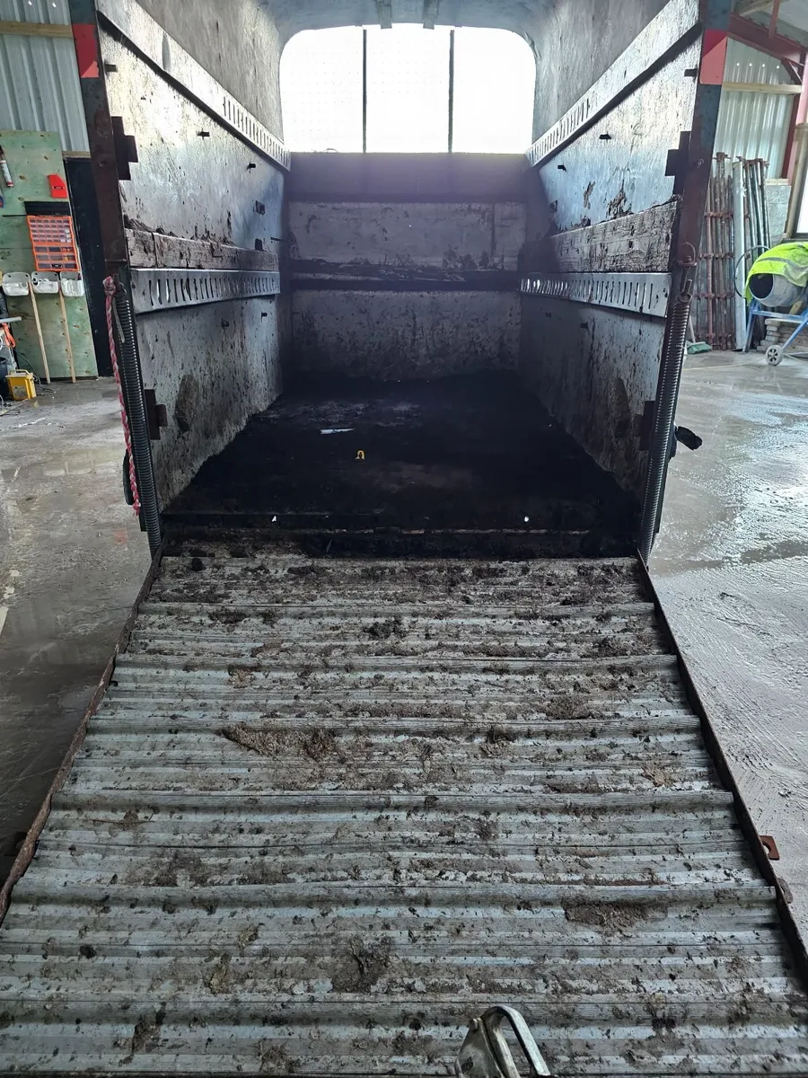 Ifor Williams 10 x 6. Cattle  /Horse box - Image 2