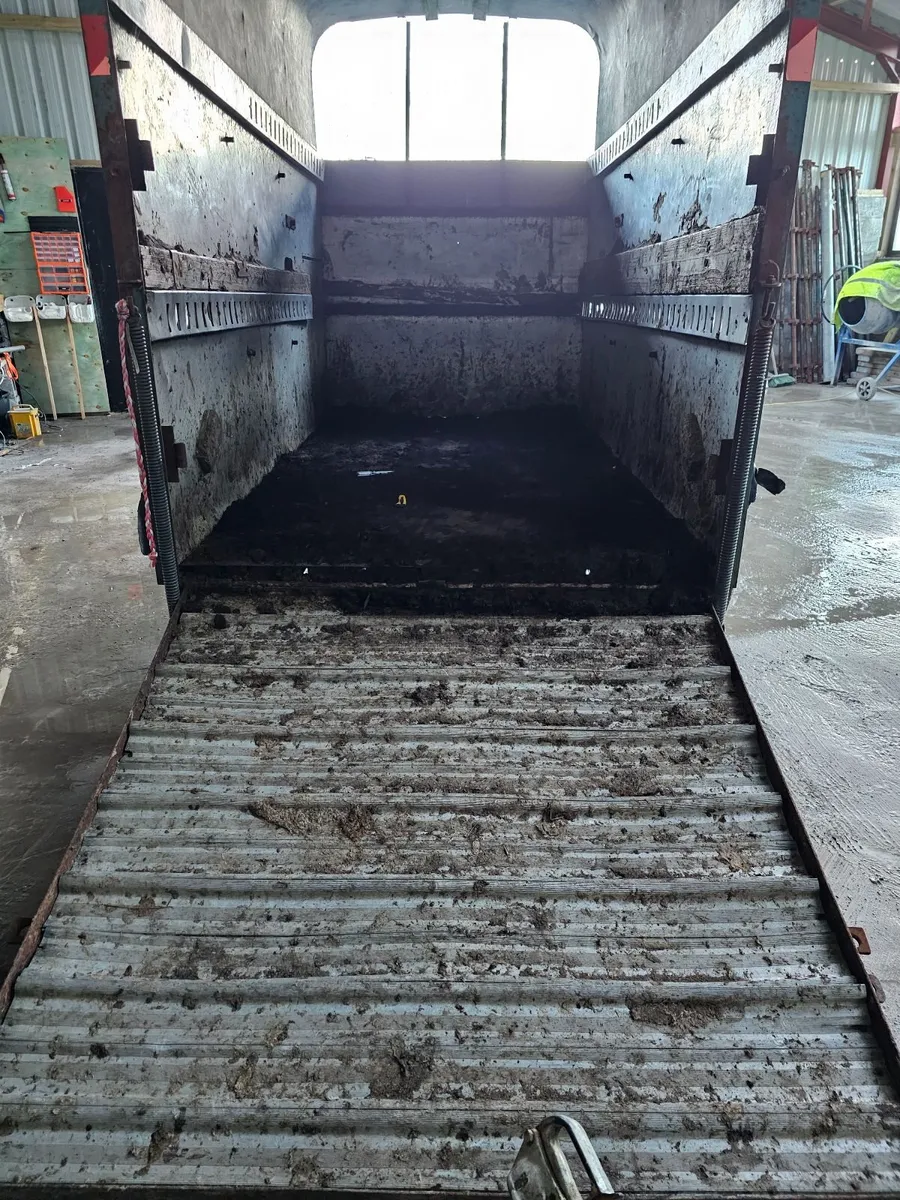 Ifor Williams 10 x 6. Cattle  /Horse box - Image 3