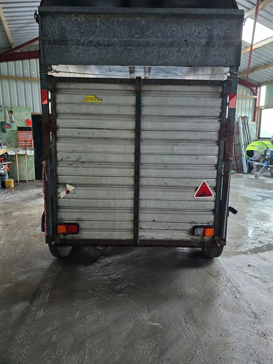 Ifor Williams 10 x 6. Cattle  /Horse box - Image 4