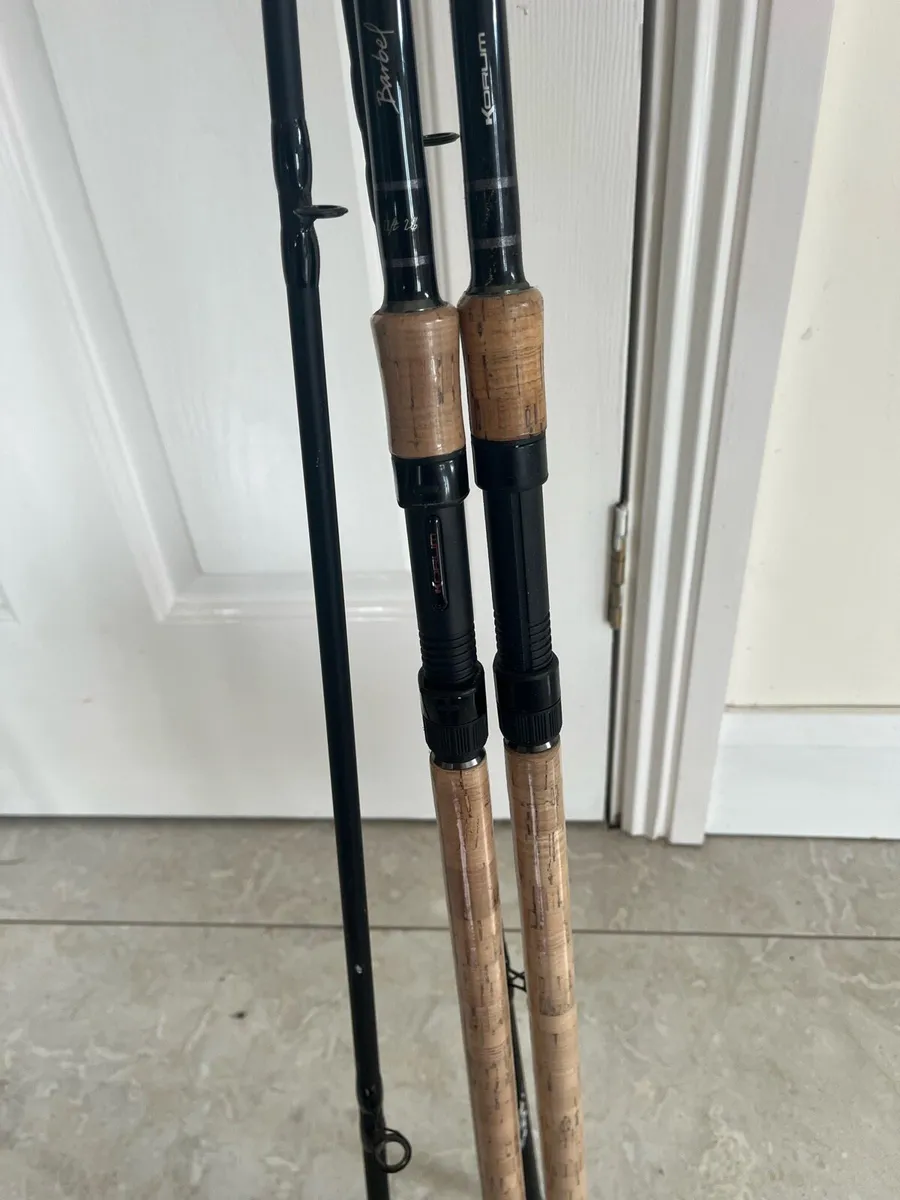 Carp and Tench rods - Image 1