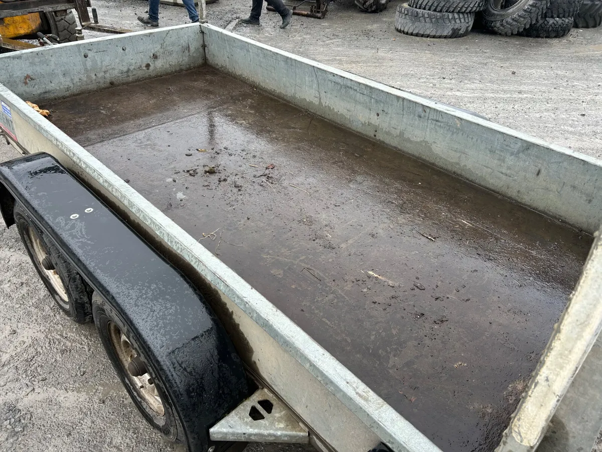Nugent 10x5 Plant Trailer - Image 4