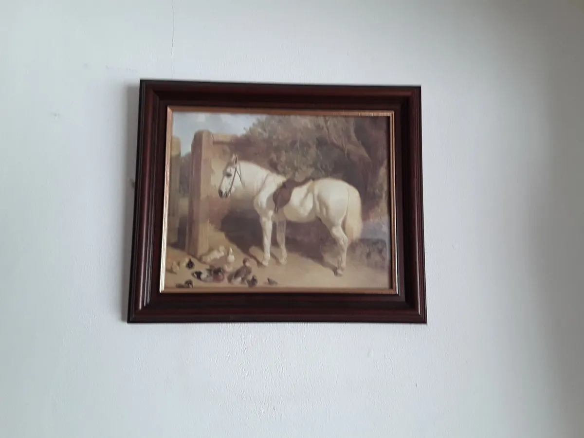 Nice picture horse in a barn - Image 1