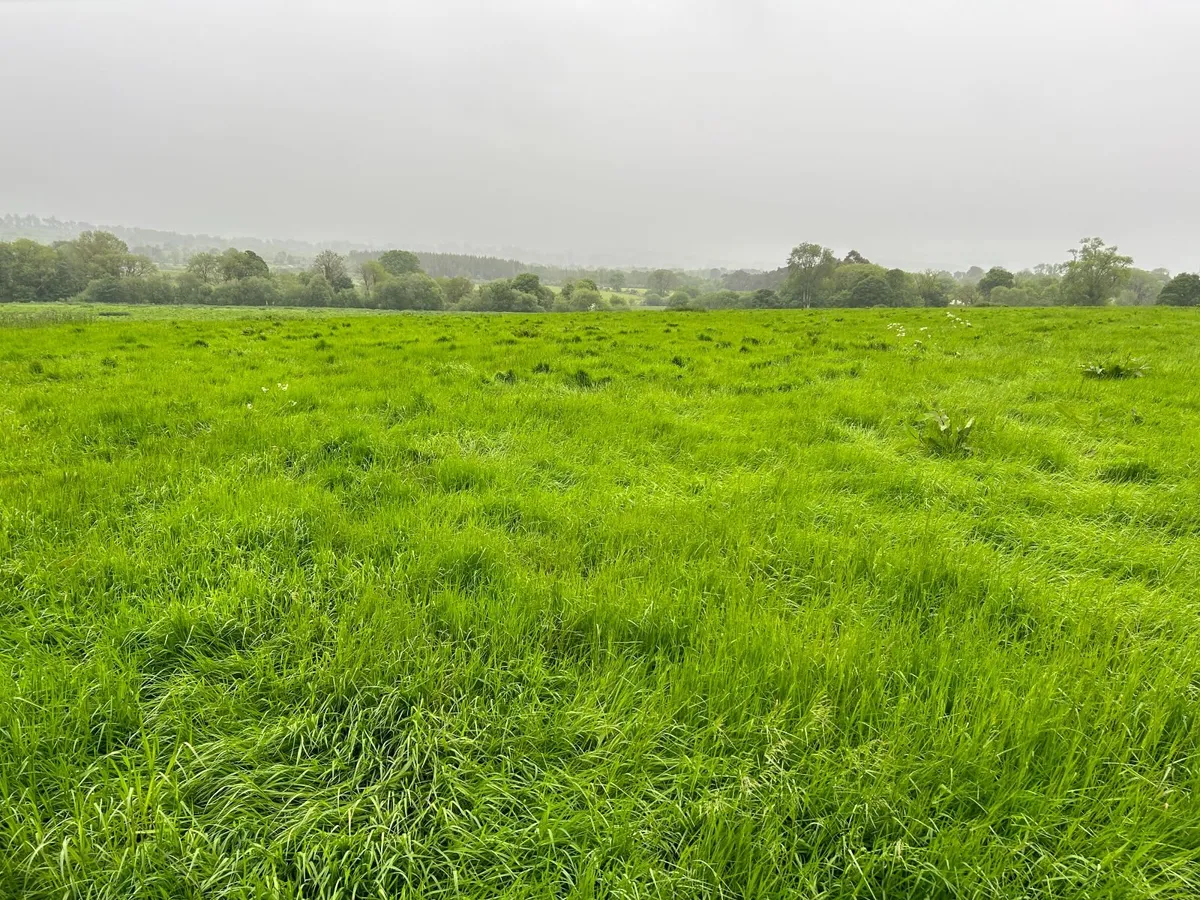 First Cut Silage - Image 1
