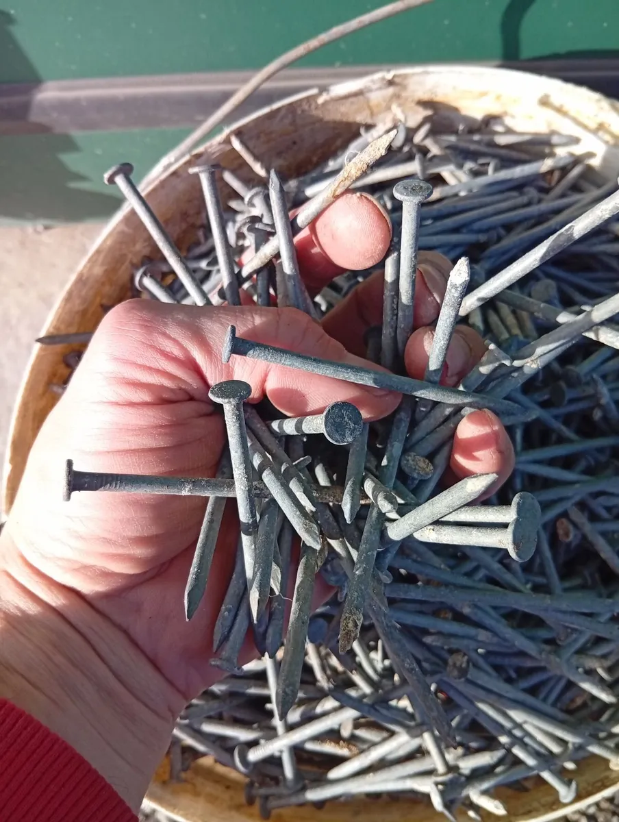 New Galvanised Rust Resistant Building Nails - Image 4