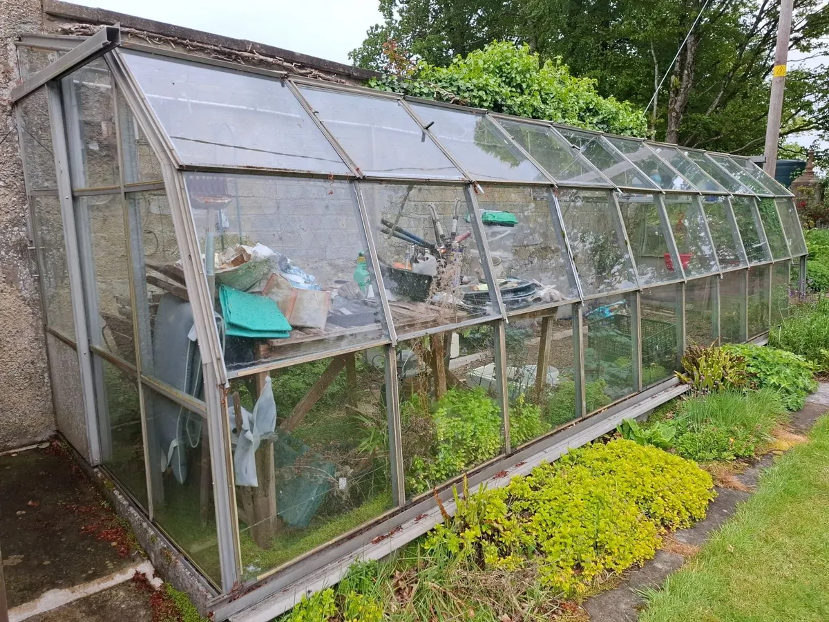 Greenhouse - Lean To - Image 3