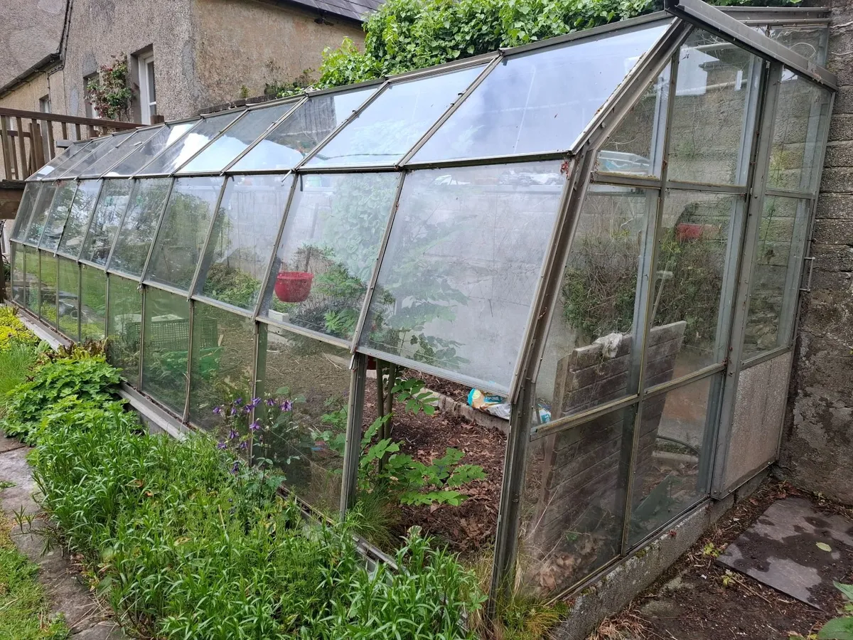 Greenhouse - Lean To - Image 2
