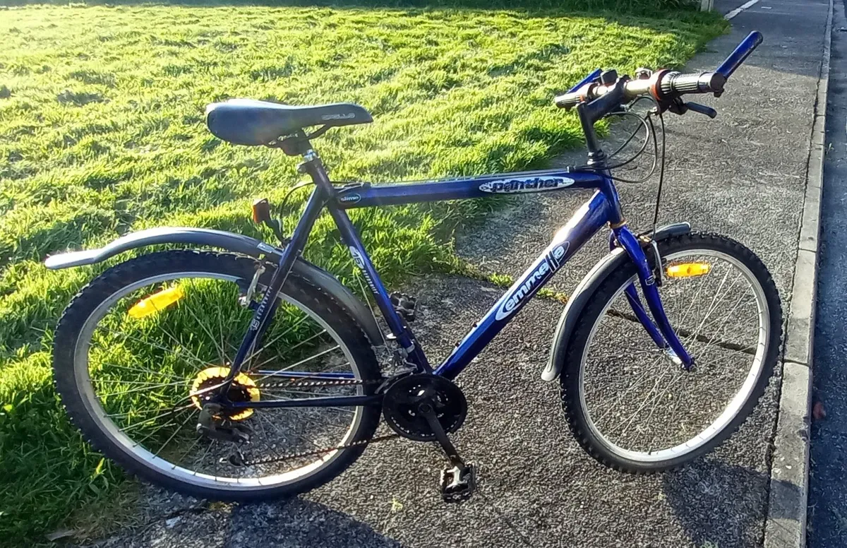 CLASSIC MOUNTAIN BICYCLE - Image 1