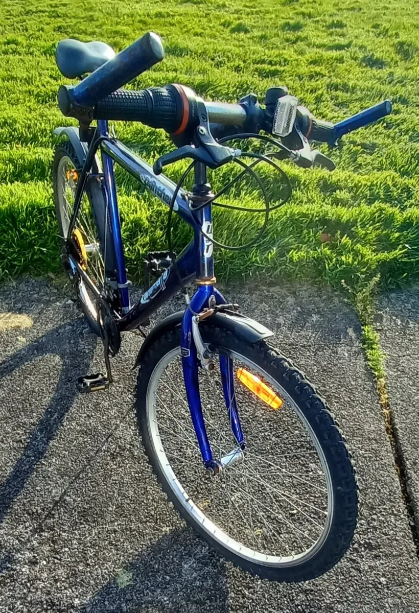 CLASSIC MOUNTAIN BICYCLE - Image 2
