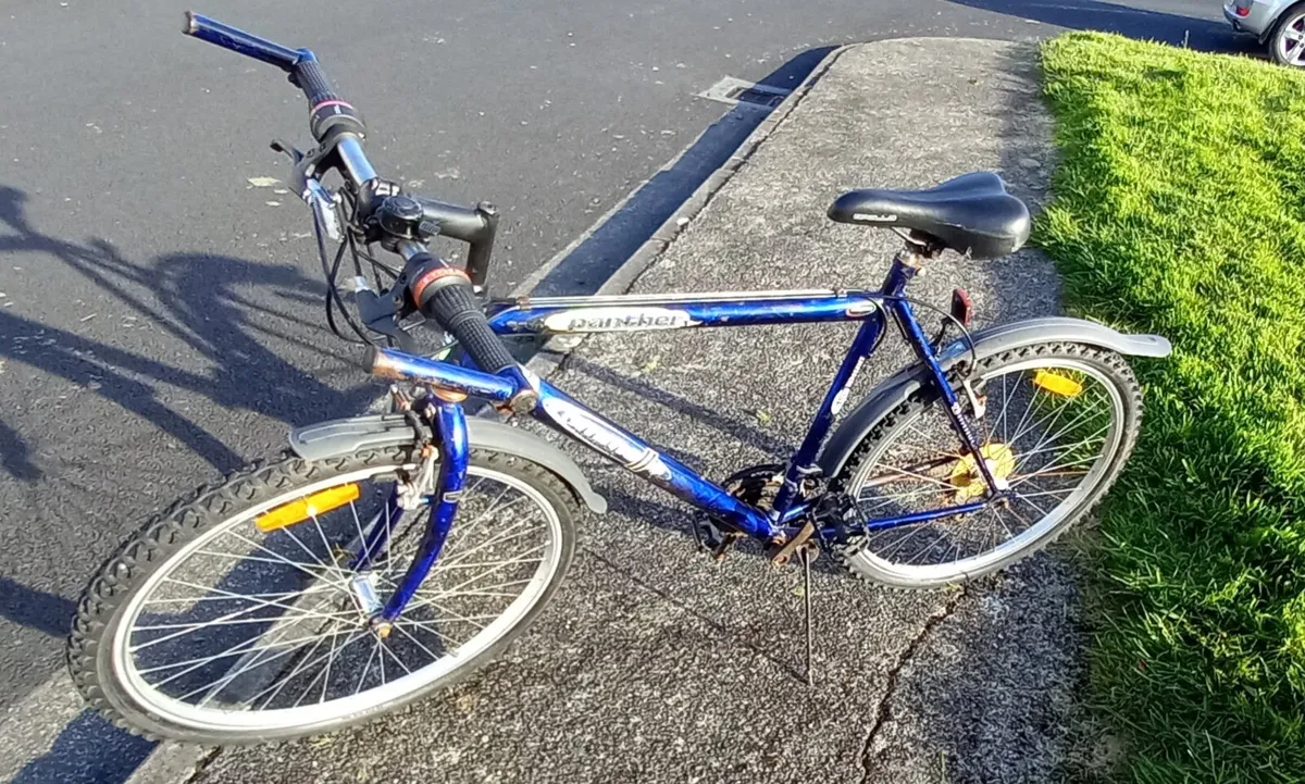 CLASSIC MOUNTAIN BICYCLE - Image 3