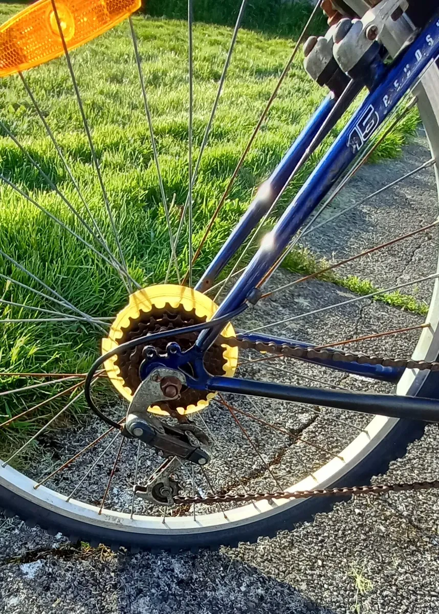 CLASSIC MOUNTAIN BICYCLE - Image 4