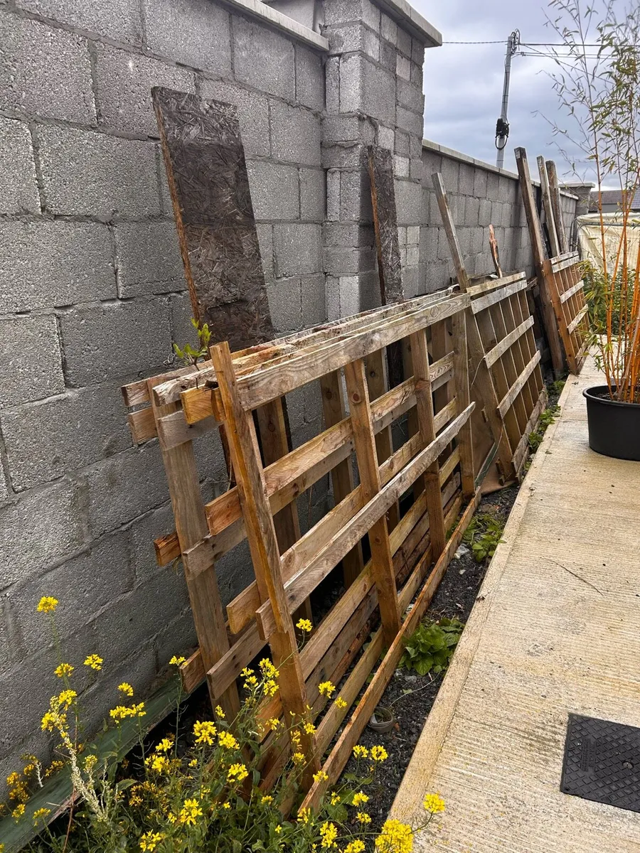 Timber and pallets - Image 1