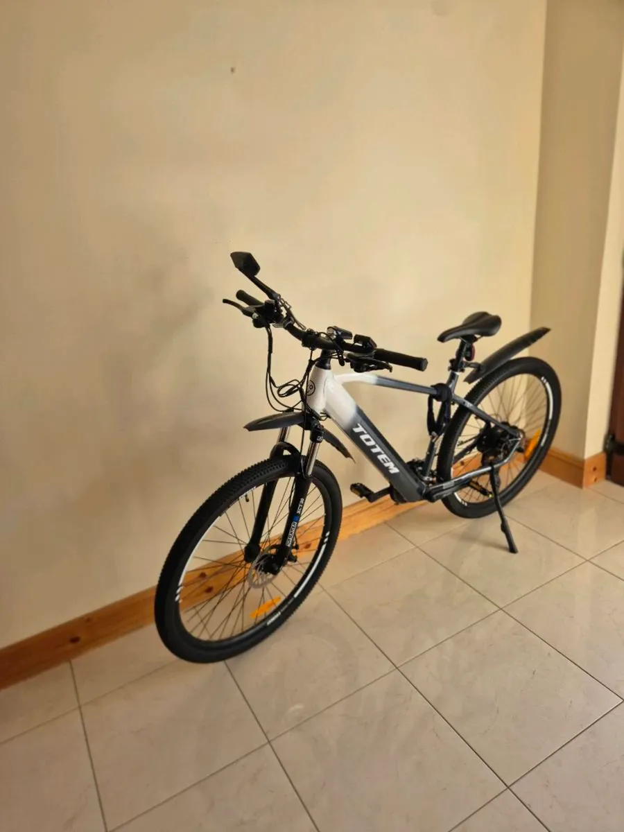Electric bike - Image 2