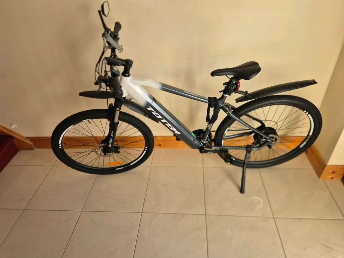 Electric bike - Image 1