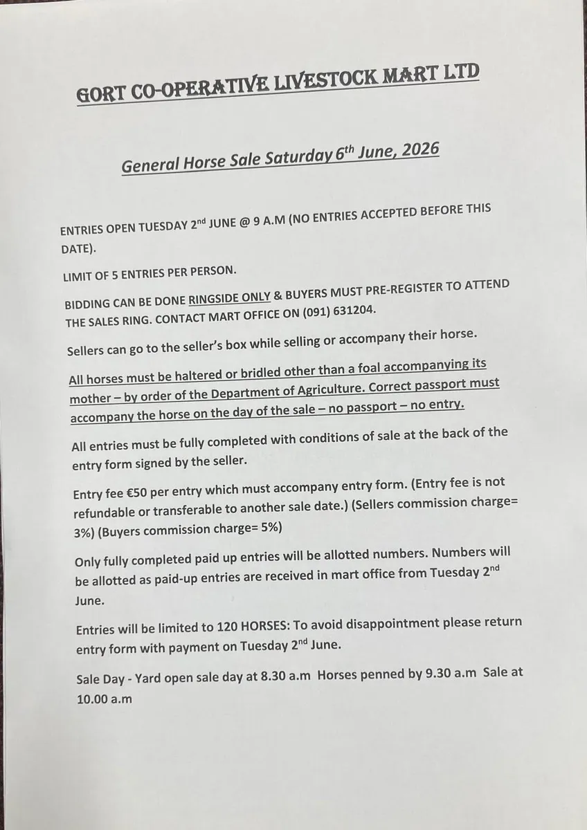Gort Mart: Pre entry horse sale: 6th June - Image 3