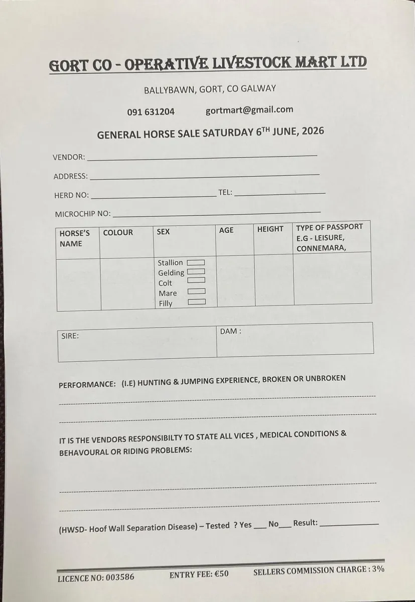 Gort Mart: Pre entry horse sale: 6th June - Image 1