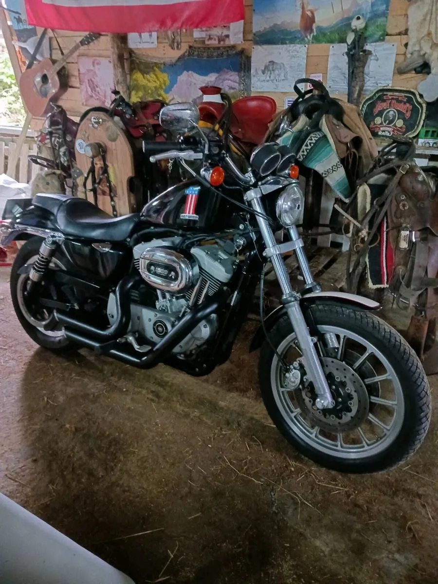 Sportster 1200 - Image 3
