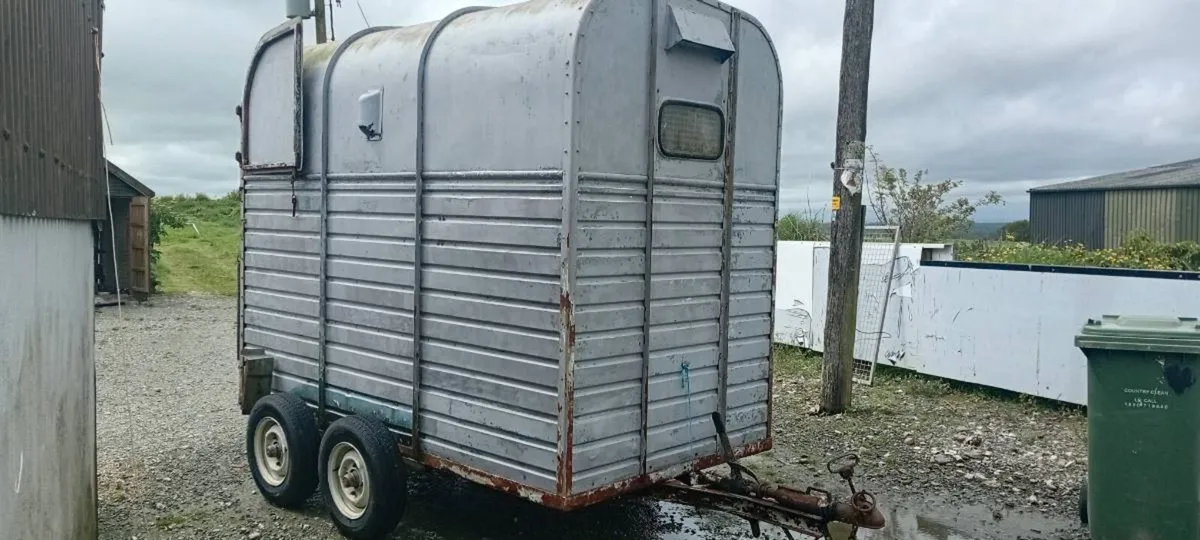 Rice horse box - Image 2