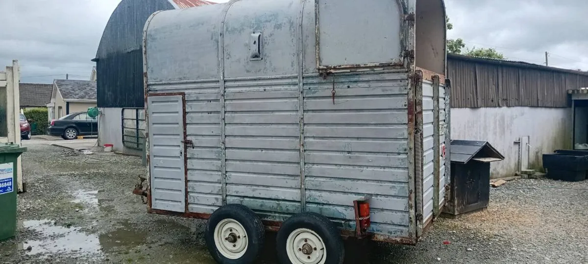 Rice horse box - Image 3