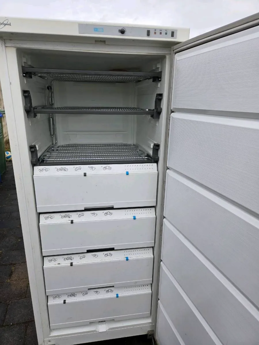 Full freezer - Image 2