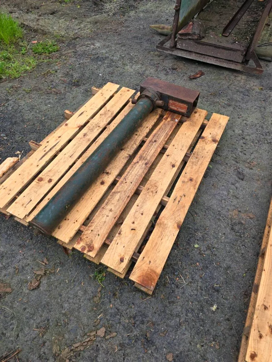 Yard clear out - Image 2