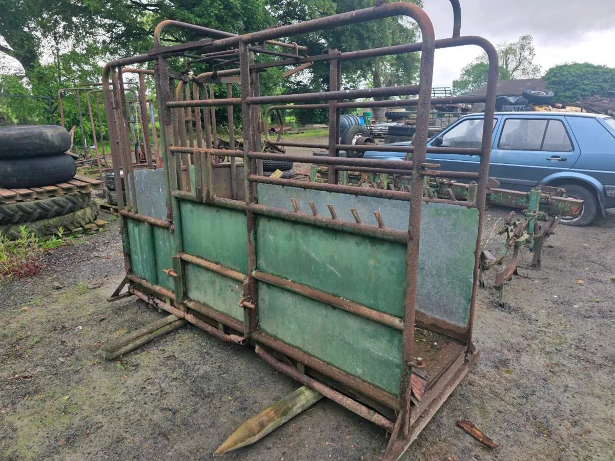 Yard clear out - Image 4