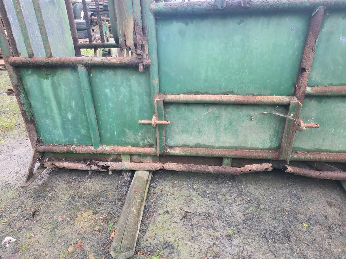 Yard clear out - Image 4