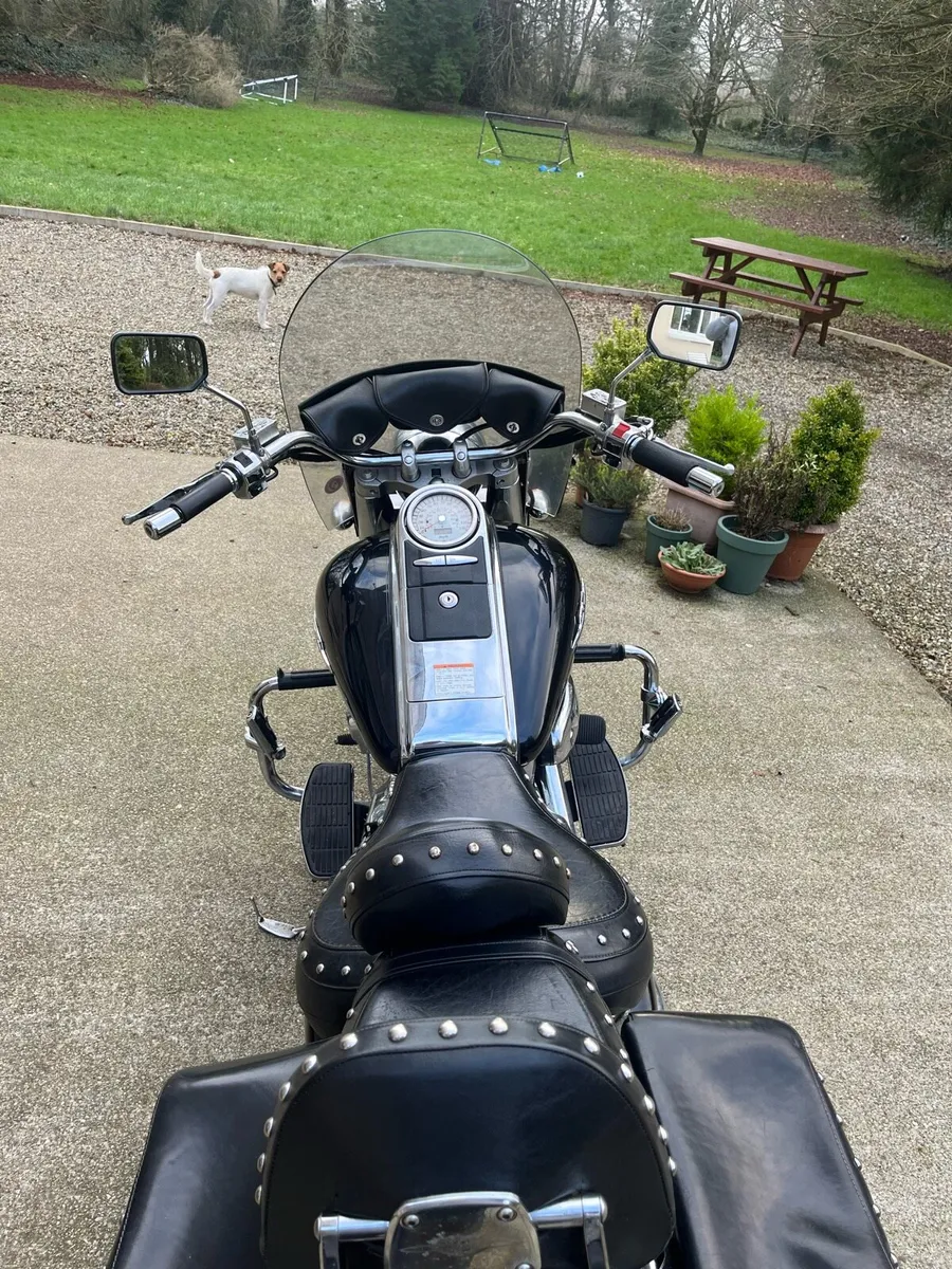 Suzuki boulevard dressed - Image 4