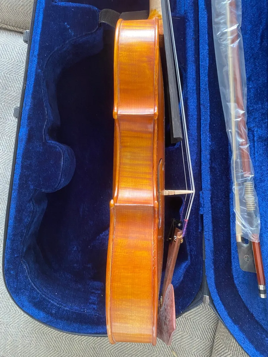 Viola - Image 4