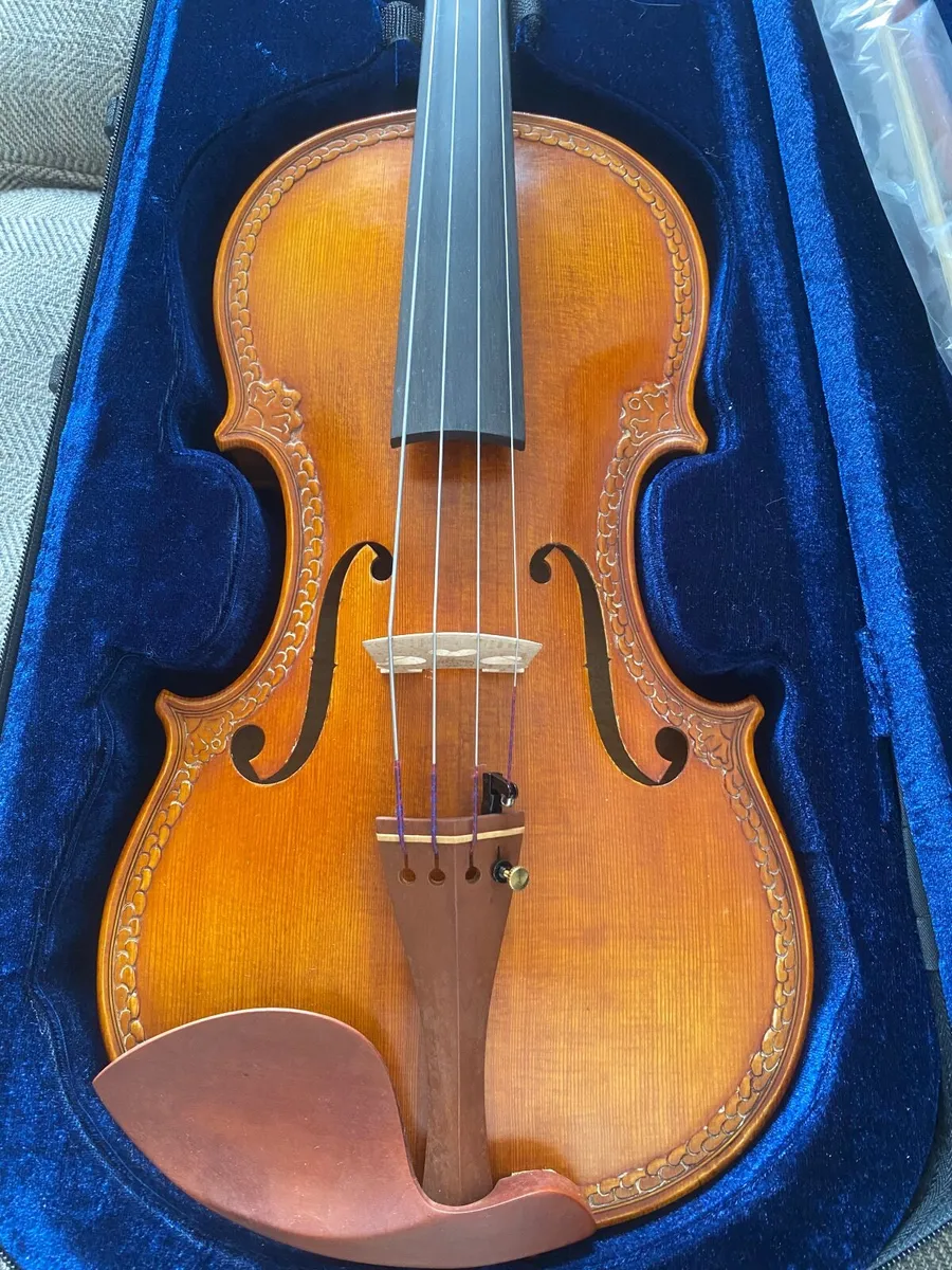 Viola - Image 2