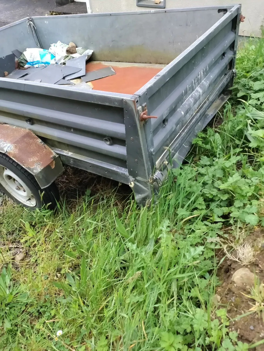 Car Trailer/ Electric Cement Mixer/ Petrol Mower. - Image 1