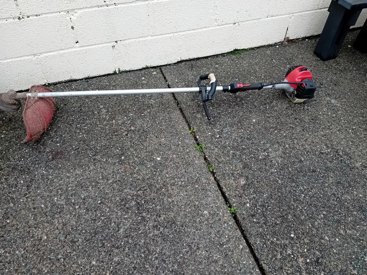 Strimmer - Image 2