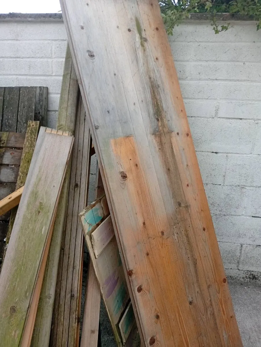 Free wood - Image 4