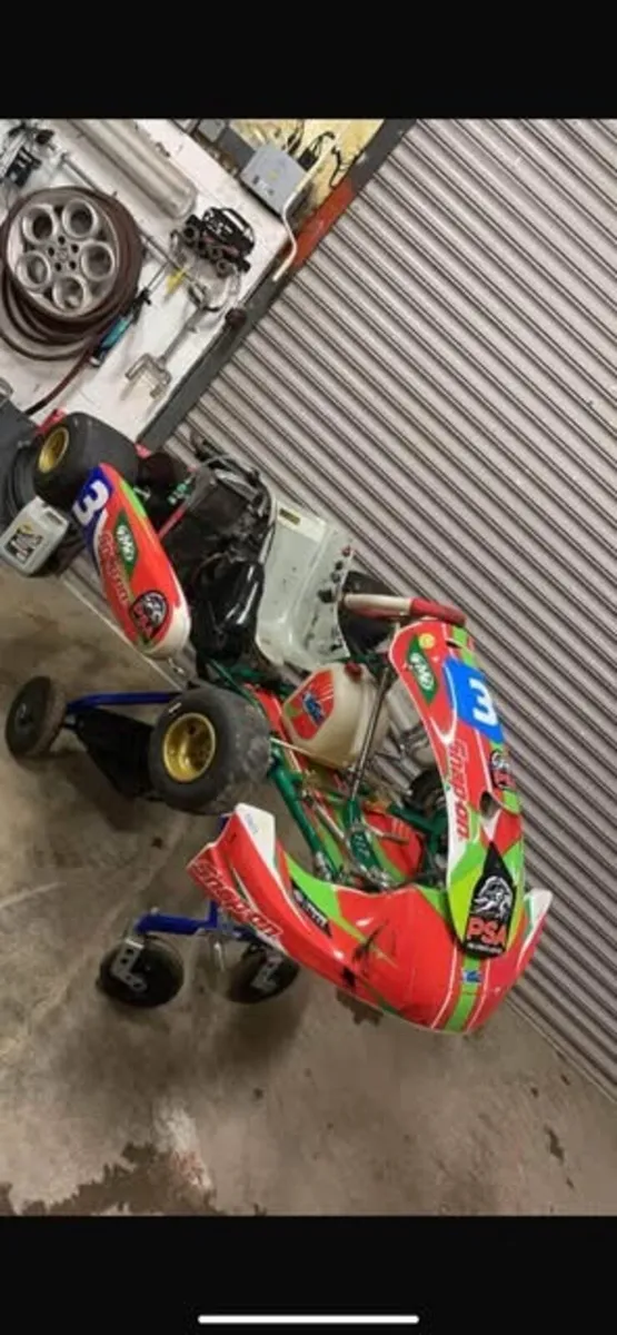 Rotax senior kart - Image 1