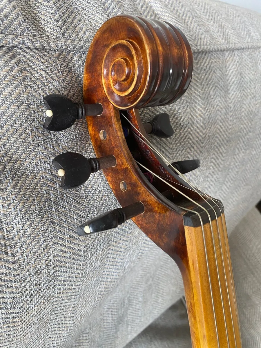 Viola da gamba - Image 3