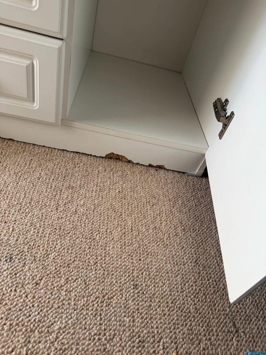 Wardrobe - Image 3