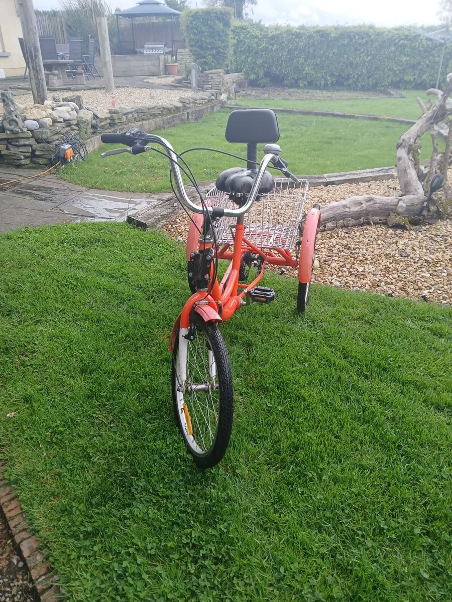Bike - Image 1