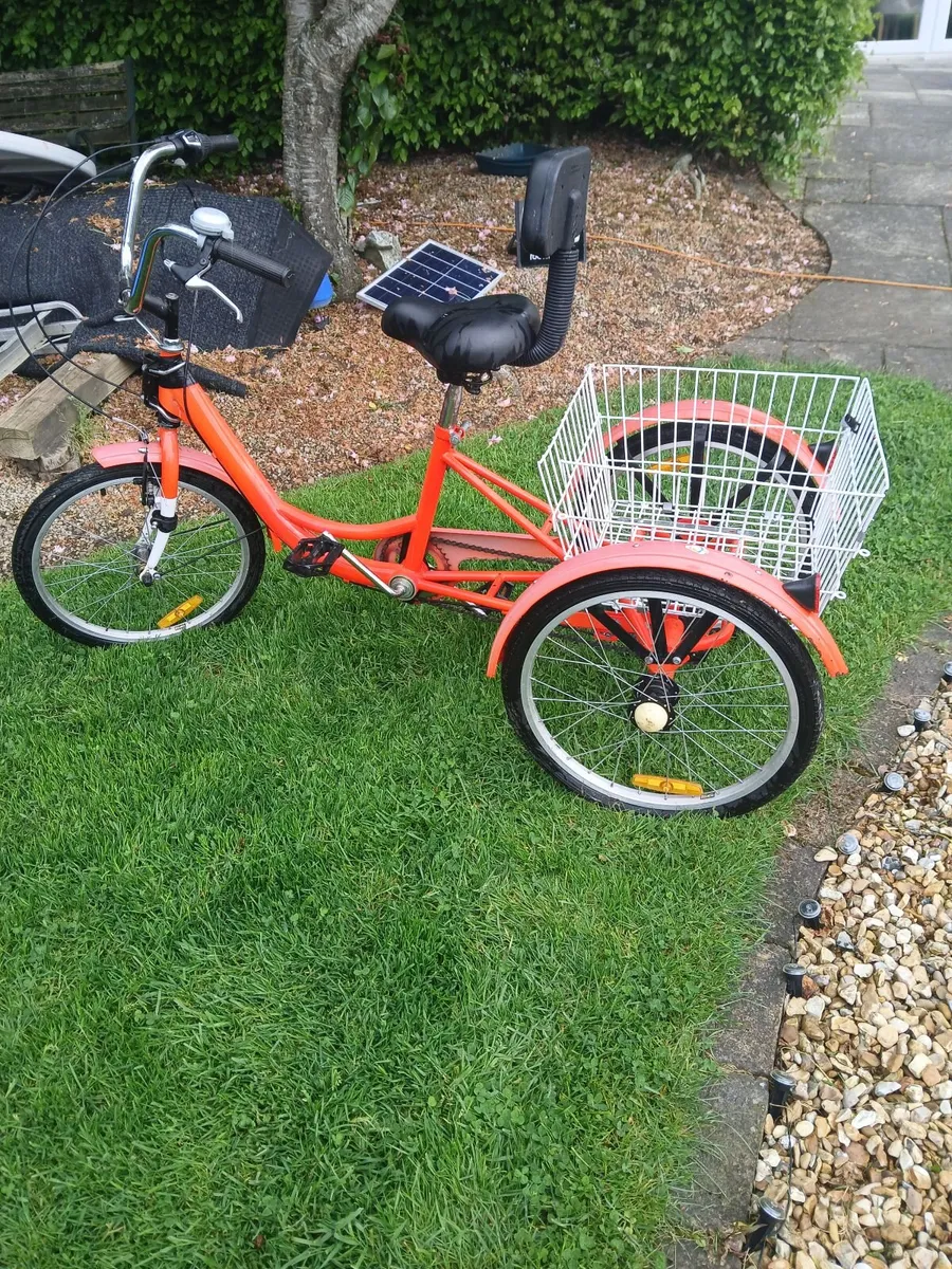 Bike - Image 2