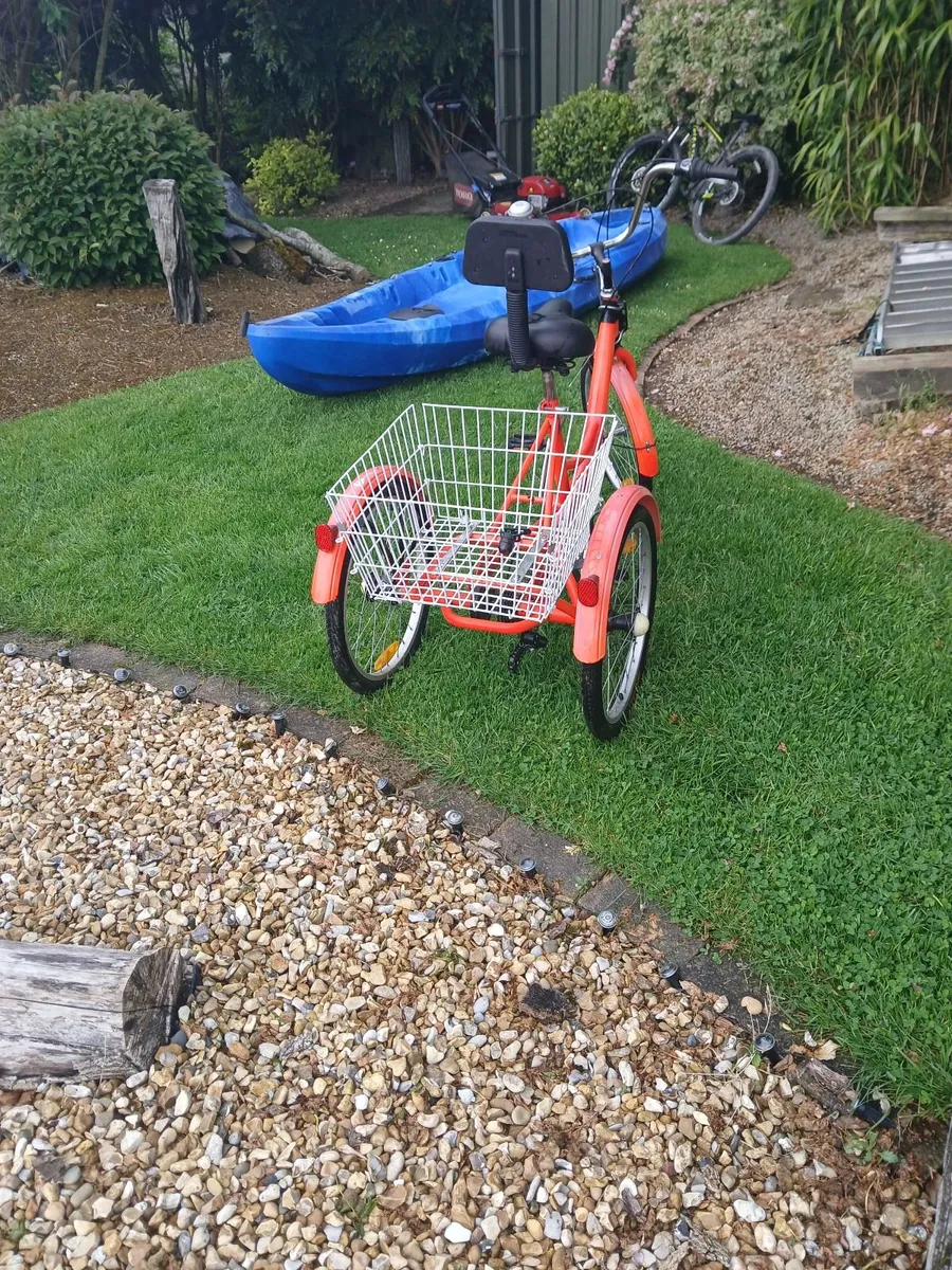 Bike - Image 3