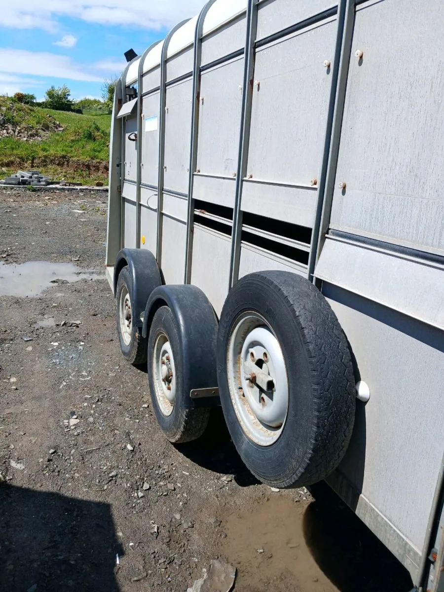 ifor Williams cattle trailer - Image 1
