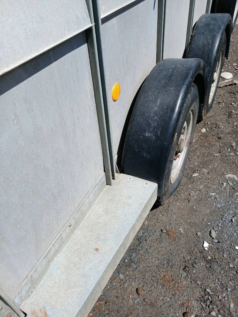 ifor Williams cattle trailer - Image 2